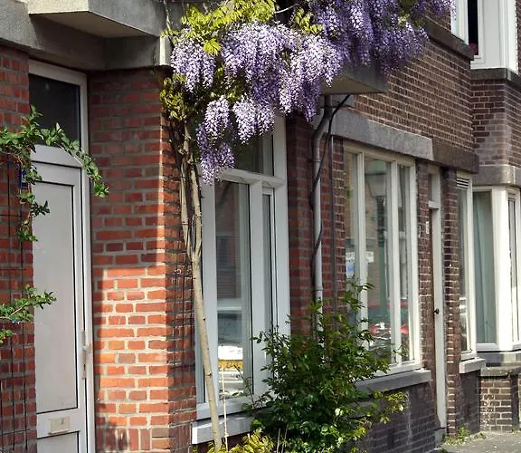 Parra-dise * The Hague