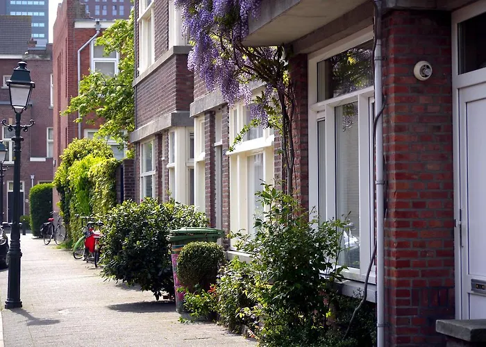 Parra-dise * The Hague