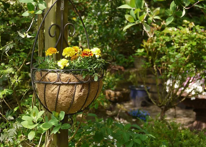 Parra-dise * The Hague