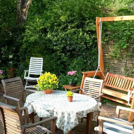 パラ ダイス * デン・ハーグ