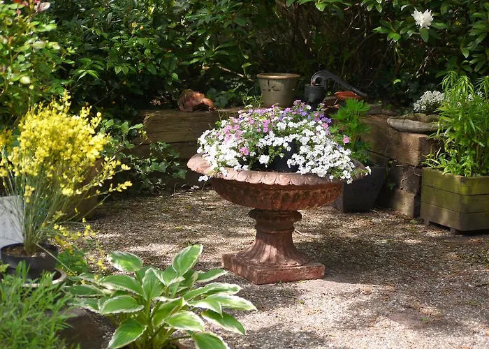 パラ ダイス アパート デン・ハーグ