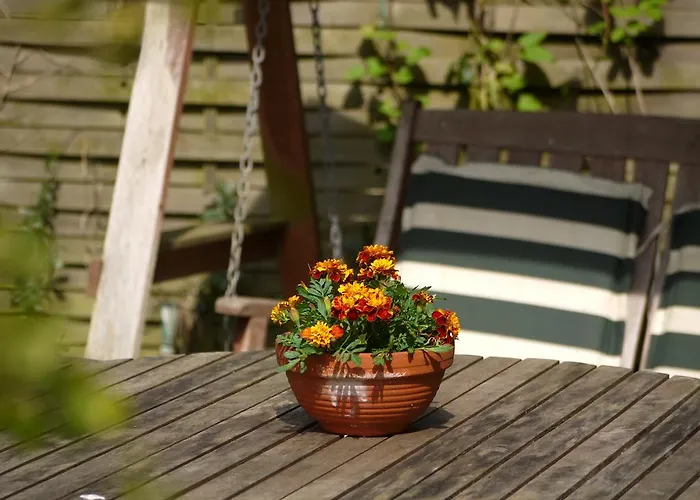 パラ ダイス アパート