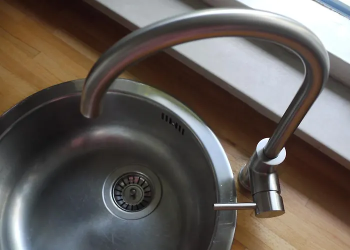 パラ ダイス デン・ハーグ