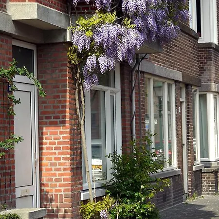 Parra-dise * The Hague