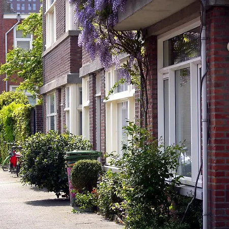 Parra-dise * La Haya